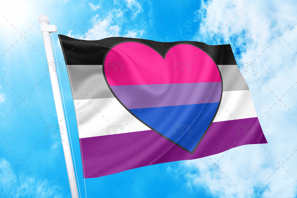 Asexual Biromantic Pride Flag Pride Nation 9980