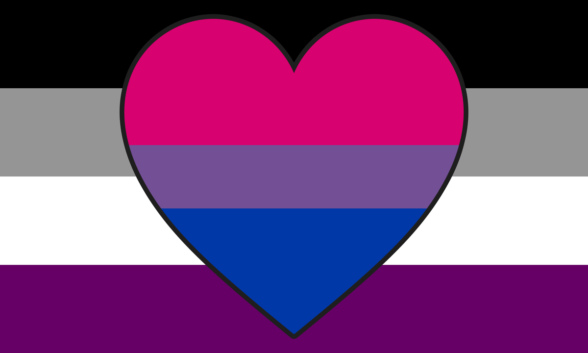 Asexual Biromantic Pride Flag Pride Nation 8127
