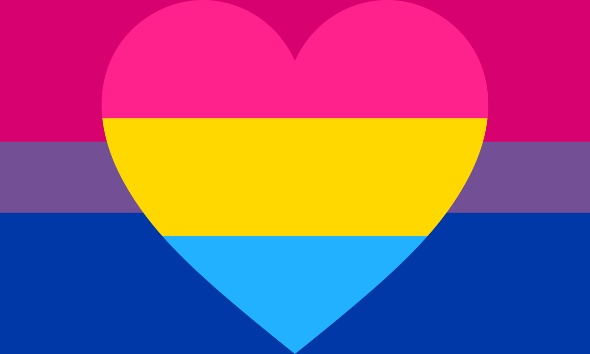 Bisexual Panromantic Pride Flag - Pride Nation