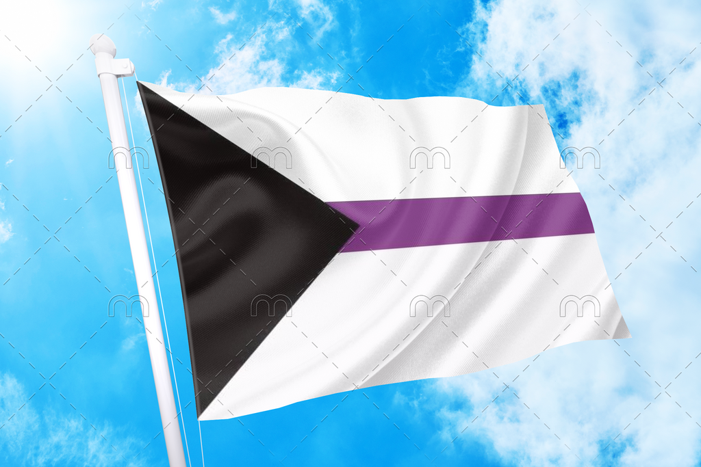 Demisexual Pride Flag Pride Nation 