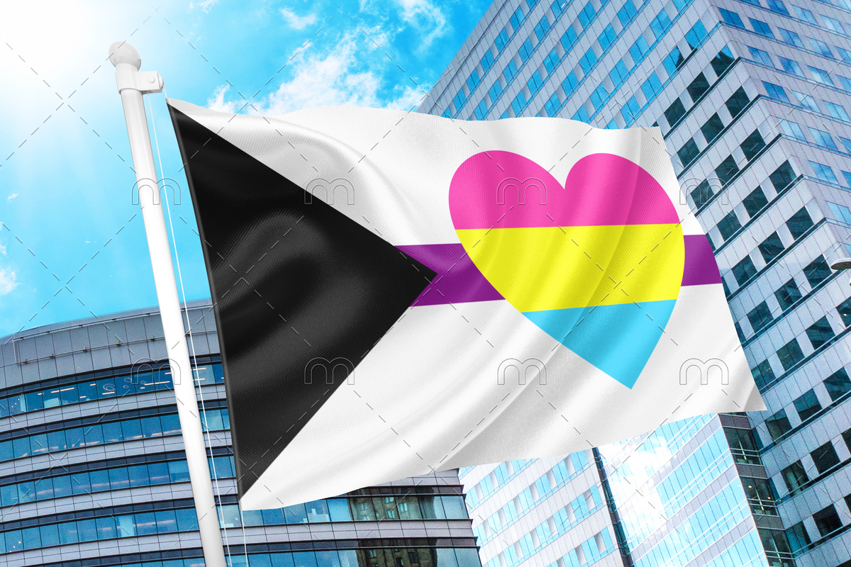 Demisexual Panromantic Pride Flag Heart Pride Nation