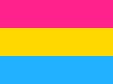 LGBT Pride Flags - Pride Nation