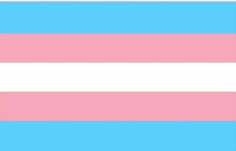 trans inclusive gay flag