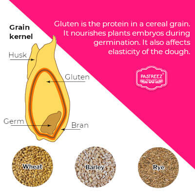 What is gluten? (infographic)