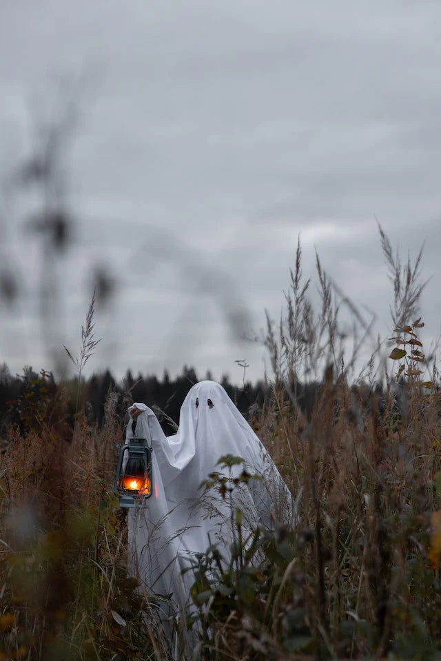 persona vestita con costume fantasma e lanterna in mano in mezzo a campo