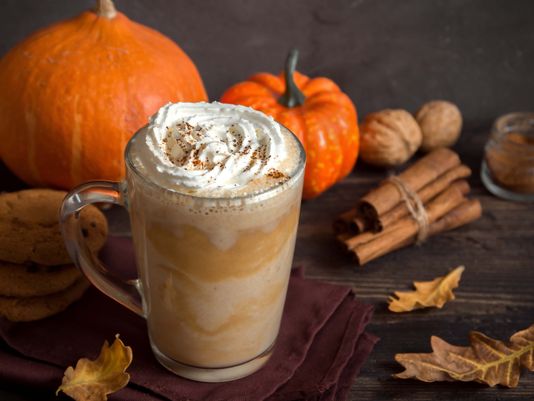 Pumpkin Chai – Modern Forestry