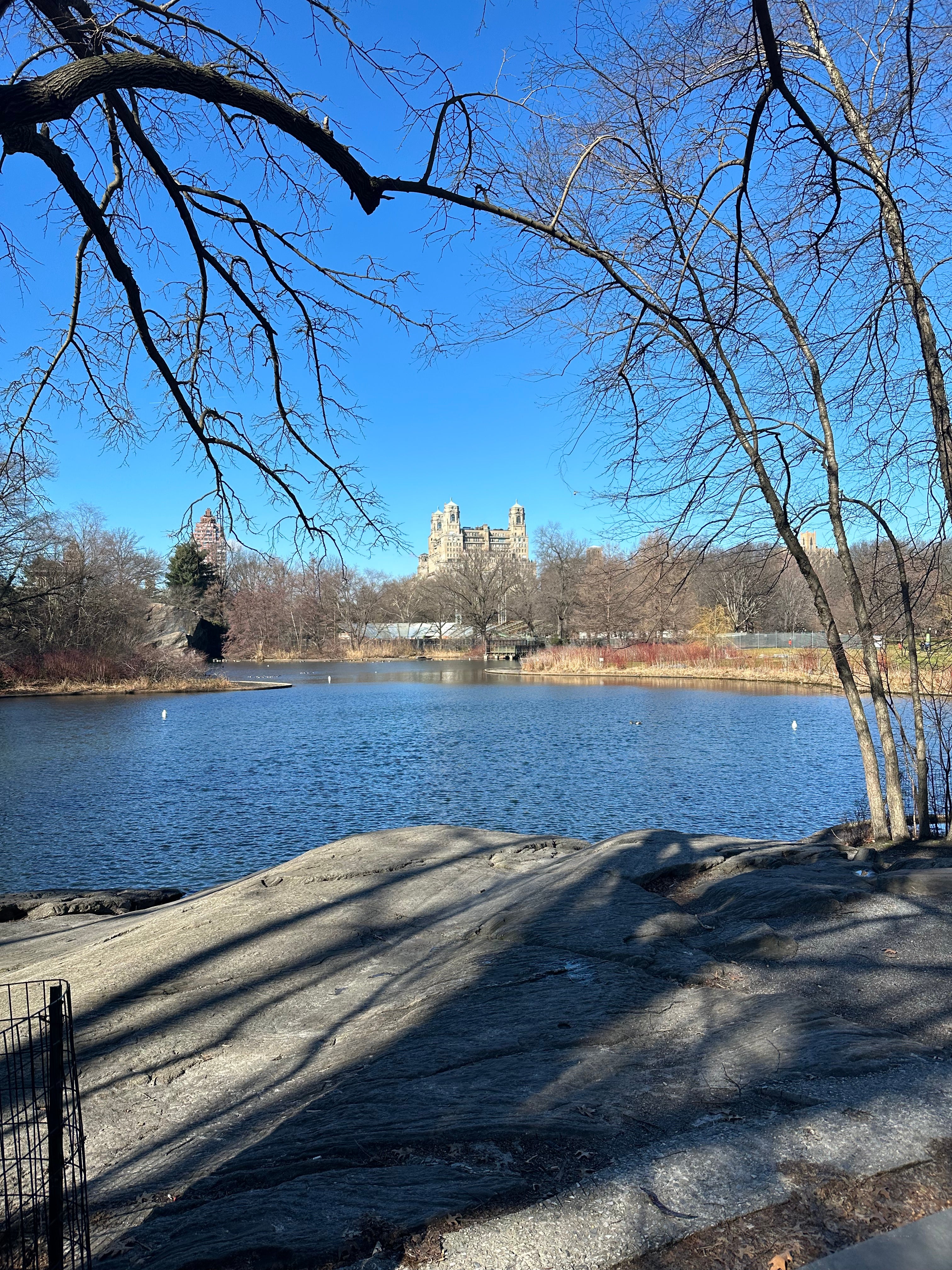 Central Park, New York