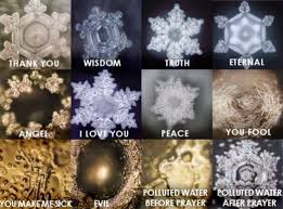 Photos from Dr Emoto water study