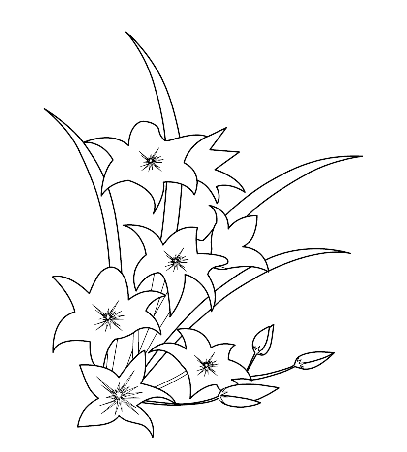 free printable coloring pages about daffodils