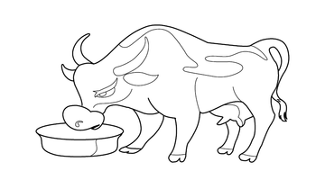 kc bull coloring pages