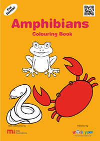 Amphibians Colouring Book