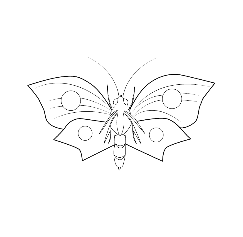 Free Printable Butterfly Colouring Picture