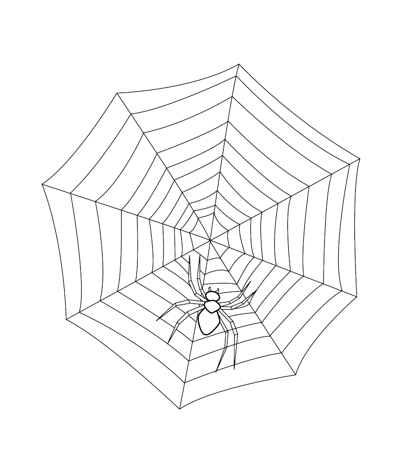 Spiderweb Colouring Image
