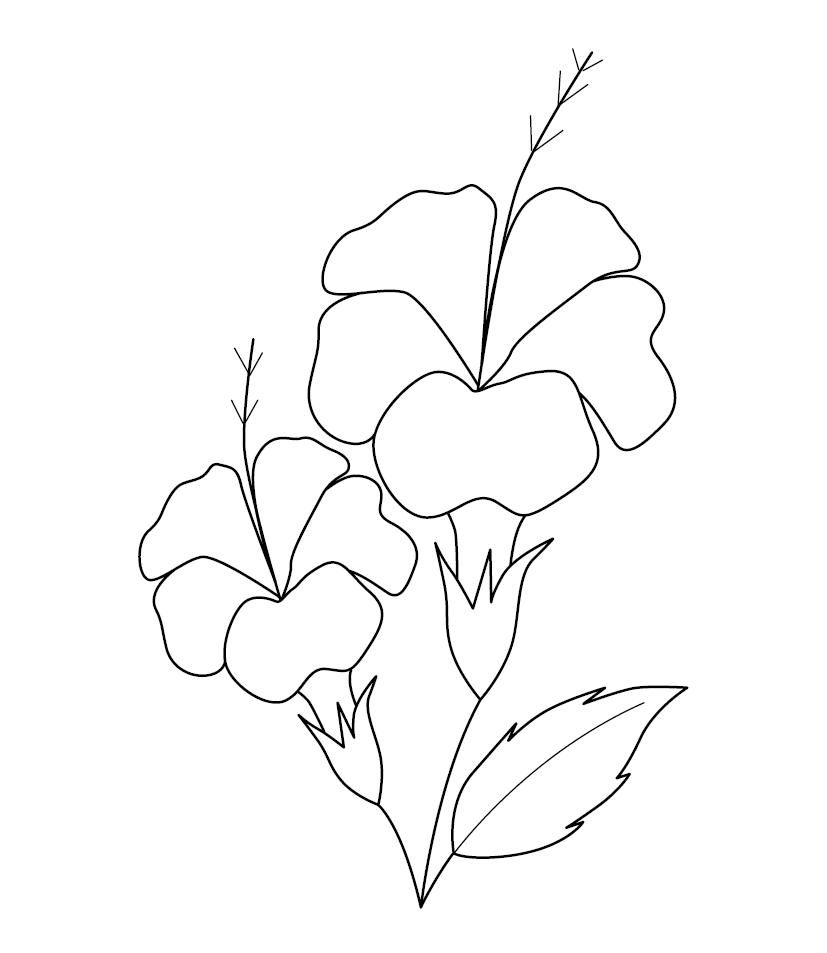 hibiscus colouring page