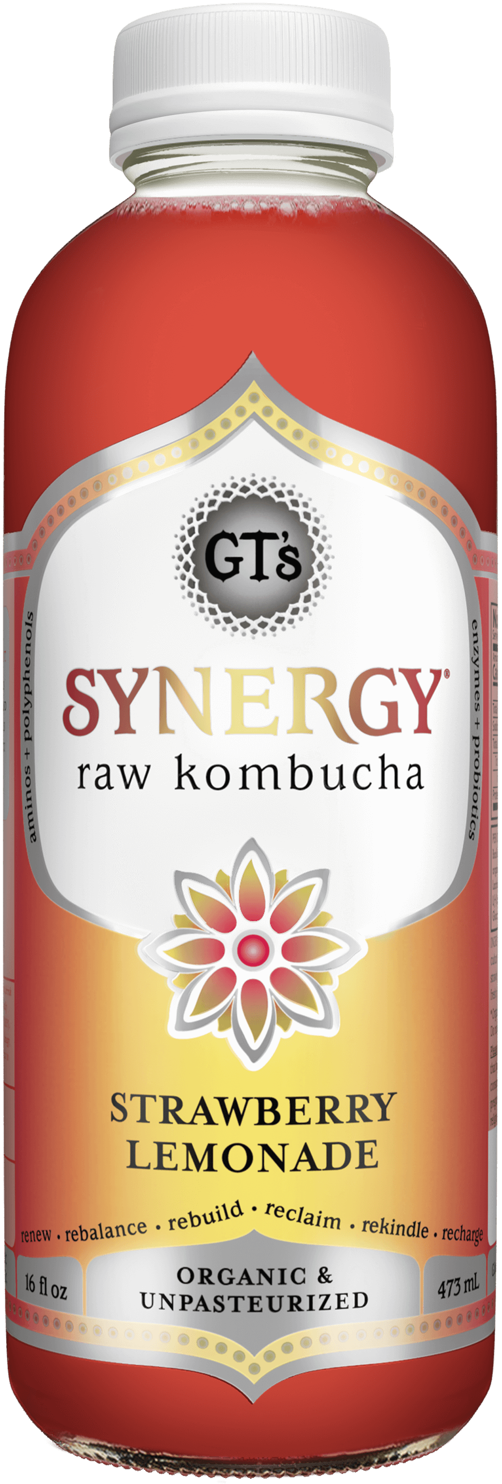 synergy kombucha green