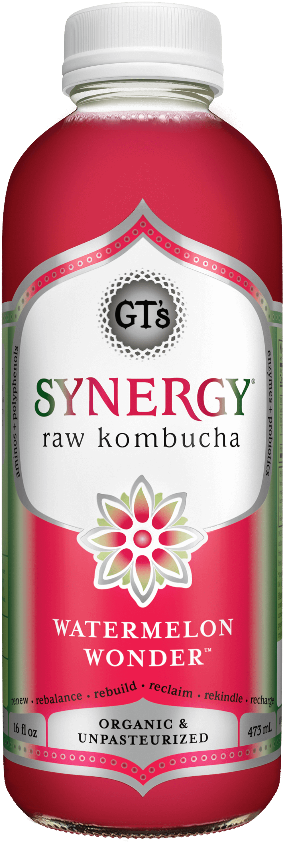 green synergy kombucha