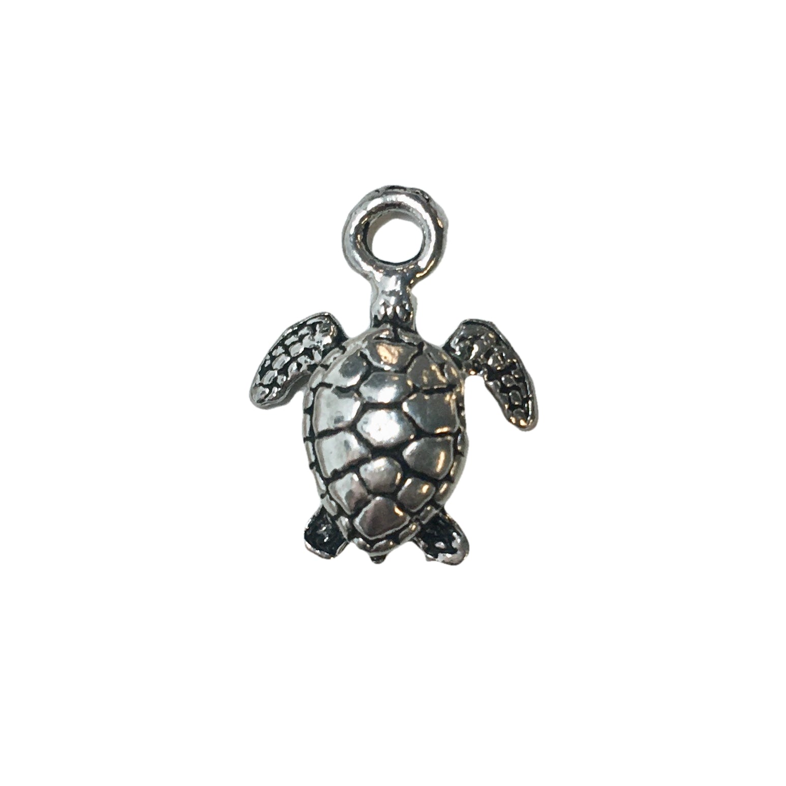 Small Sea Turtle Charms - Qty 5 - Lead Free Pewter Silver - American M ...