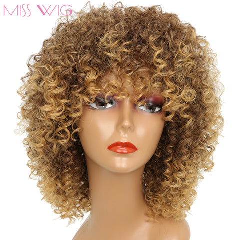 Miss Wig 16inches Long Afro Kinky Curly Wigs For Black Women