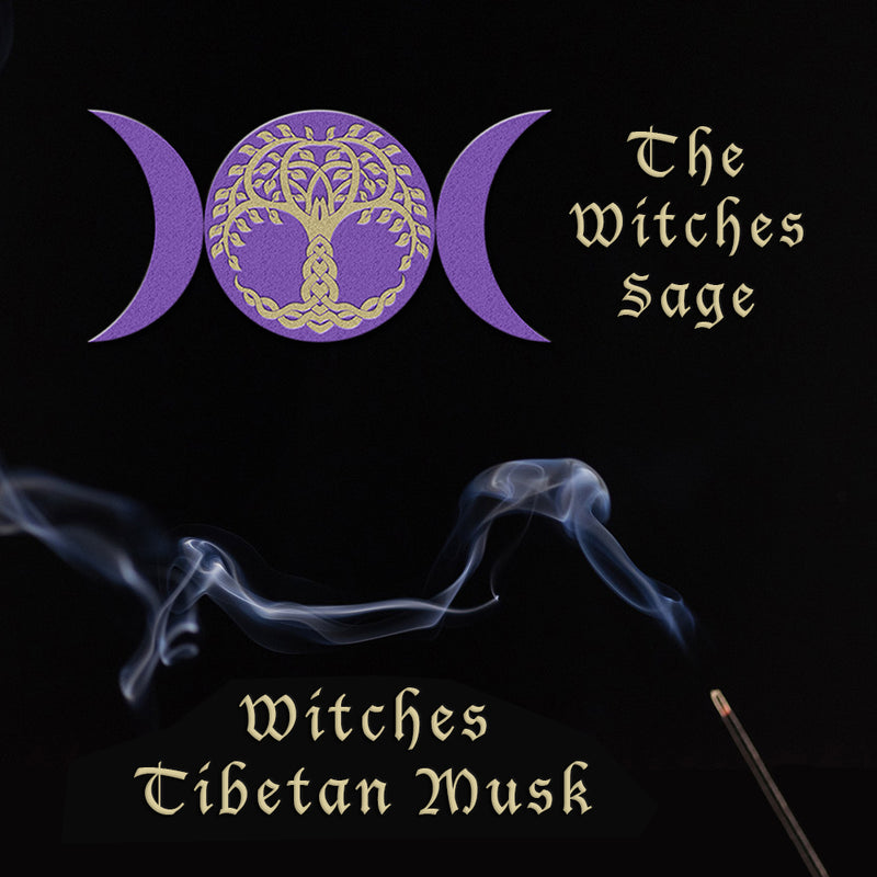 Leather Bracelets with Zodiac Signs – The Witches Sage LLC