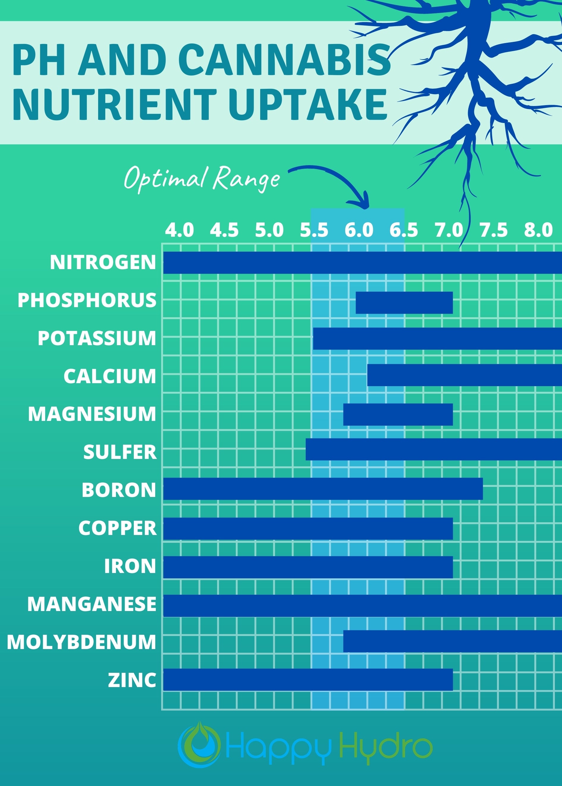 TNB Naturals granular pH DOWN 1lb / 454g
