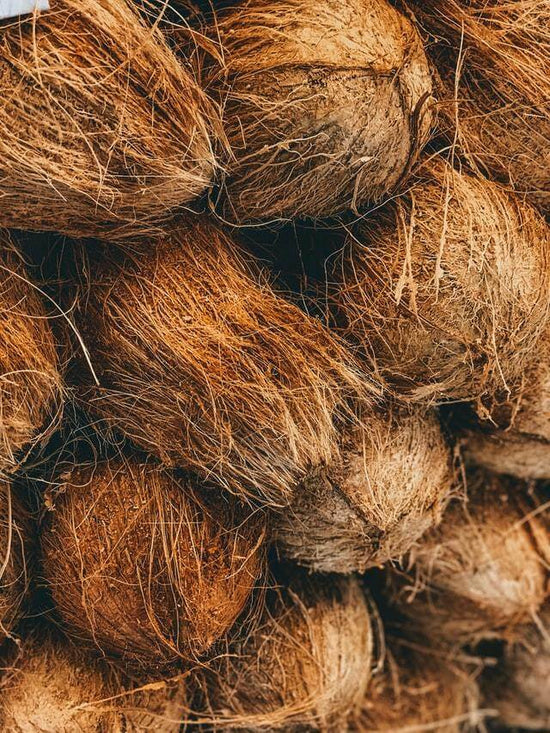 An Introduction to Coco Coir: Everything You Need to Know - Happy Hydro