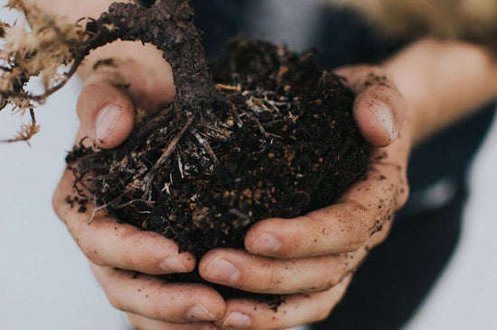 How to Make Organic Soil for Cannabis - Happy Hydro