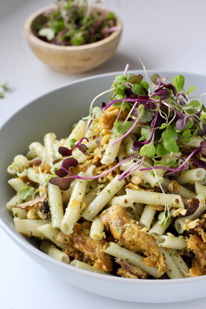 SUNFED CHICKEN FREE CHICKEN BASIL PESTO PASTA