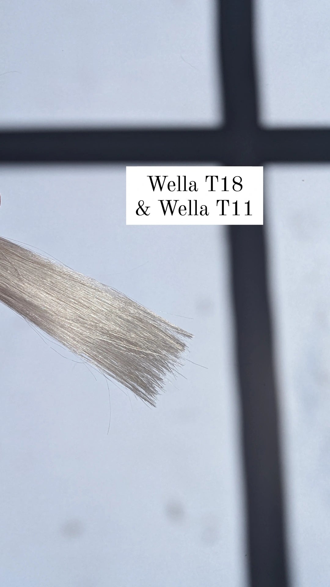 Wella T18 and Wella T11 Results