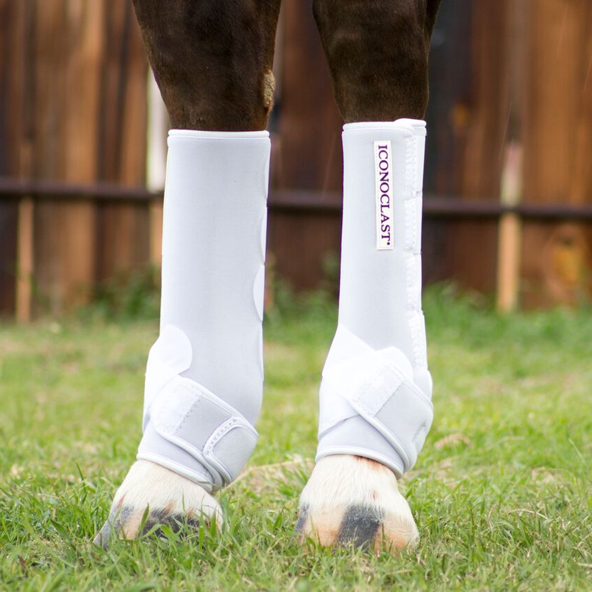 Iconoclast Orthopedic Horse Support Boots – Natural Equine Connection