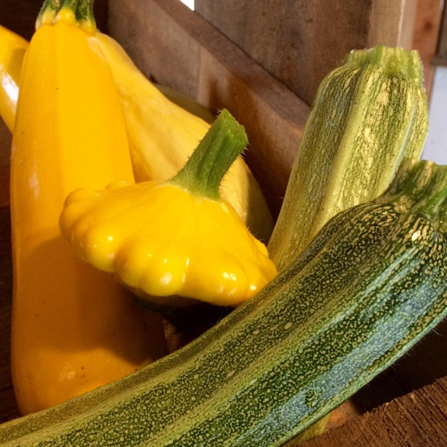 Cynthia's Kitchen - Summer Squash and Tomatoes