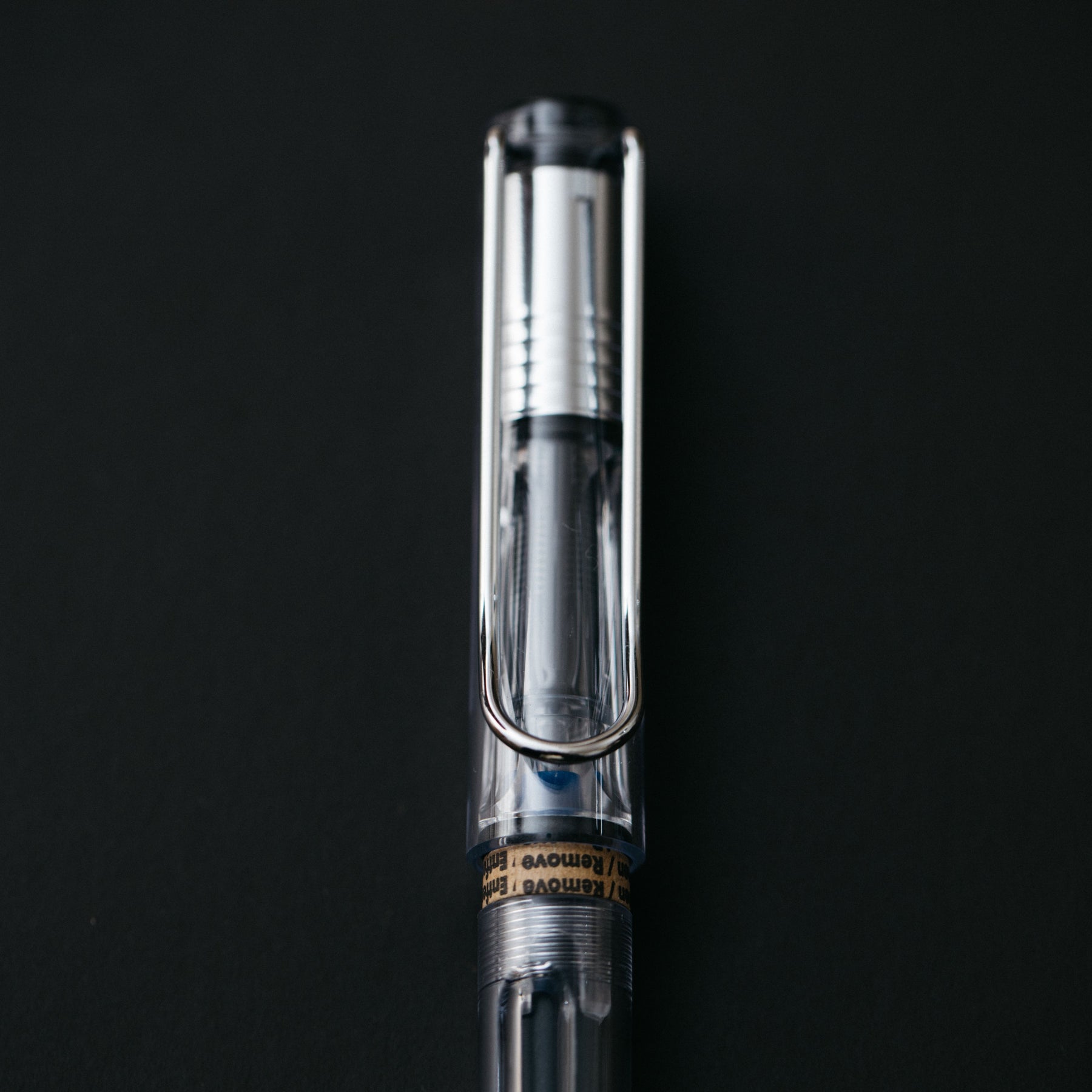 lamy vista clear fountain pen