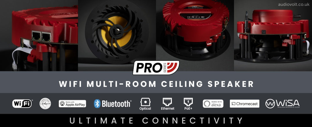 Lithe Audio Pro Series ceiling speaker