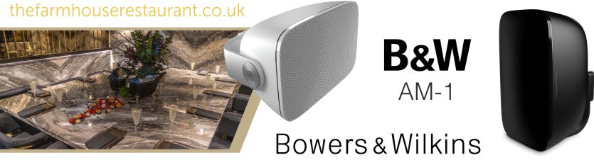 Bowers & Wilkins AM-1, High-Performance Outdoor Wall Mount Speakers