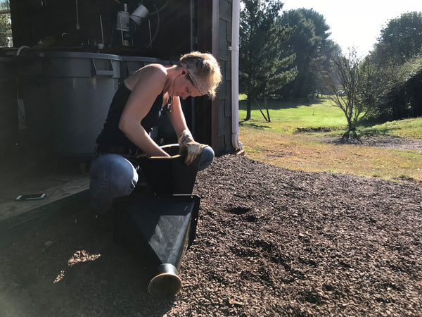 Katie Cleans the Roaster