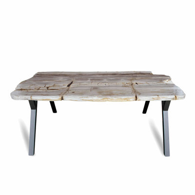 palecek petrified wood table