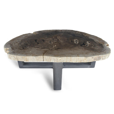 Kalifano Petrified Wood Petrified Wood Round Slab Coffee Table from Indonesia - 57" / 418 lbs PWT15200.002