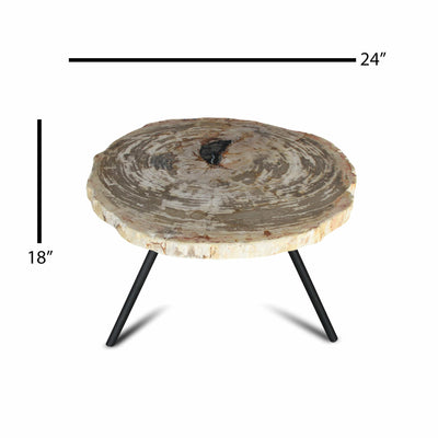 Kalifano Petrified Wood Petrified Wood Round Slice Side Table from Indonesia - 24" / 57 lbs PWT2200.001