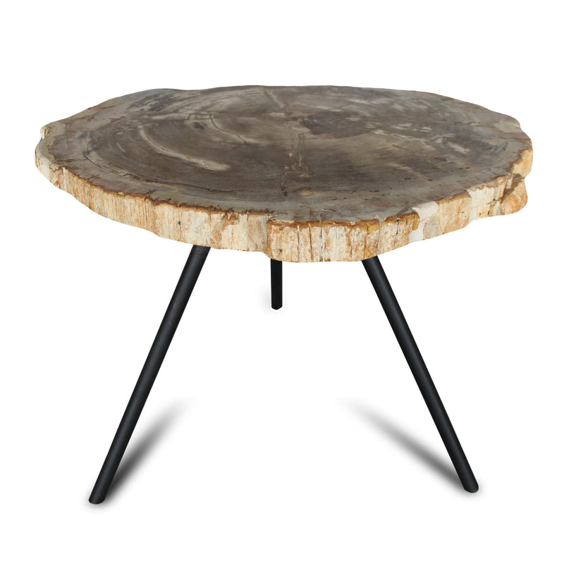 Kalifano Petrified Wood Petrified Wood Round Slice Side Table from Indonesia - 28" / 68 lbs PWT2600.003