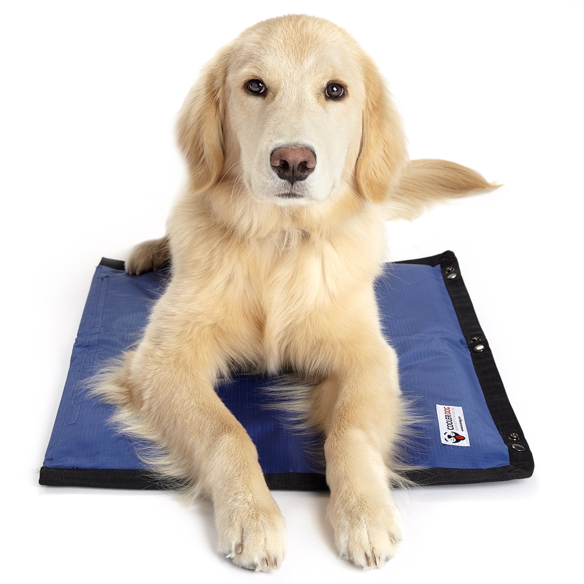 cool dog ice mat