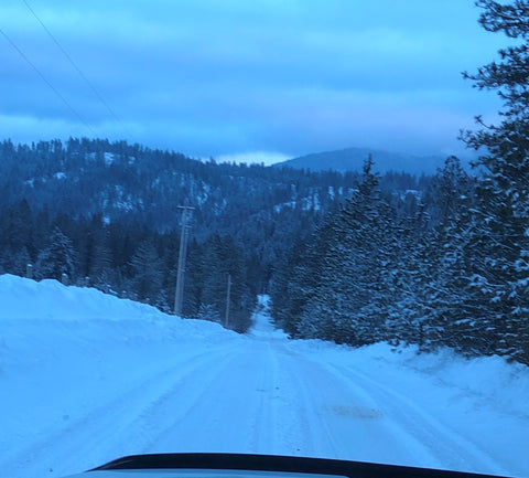 Snowy Hill with Trees