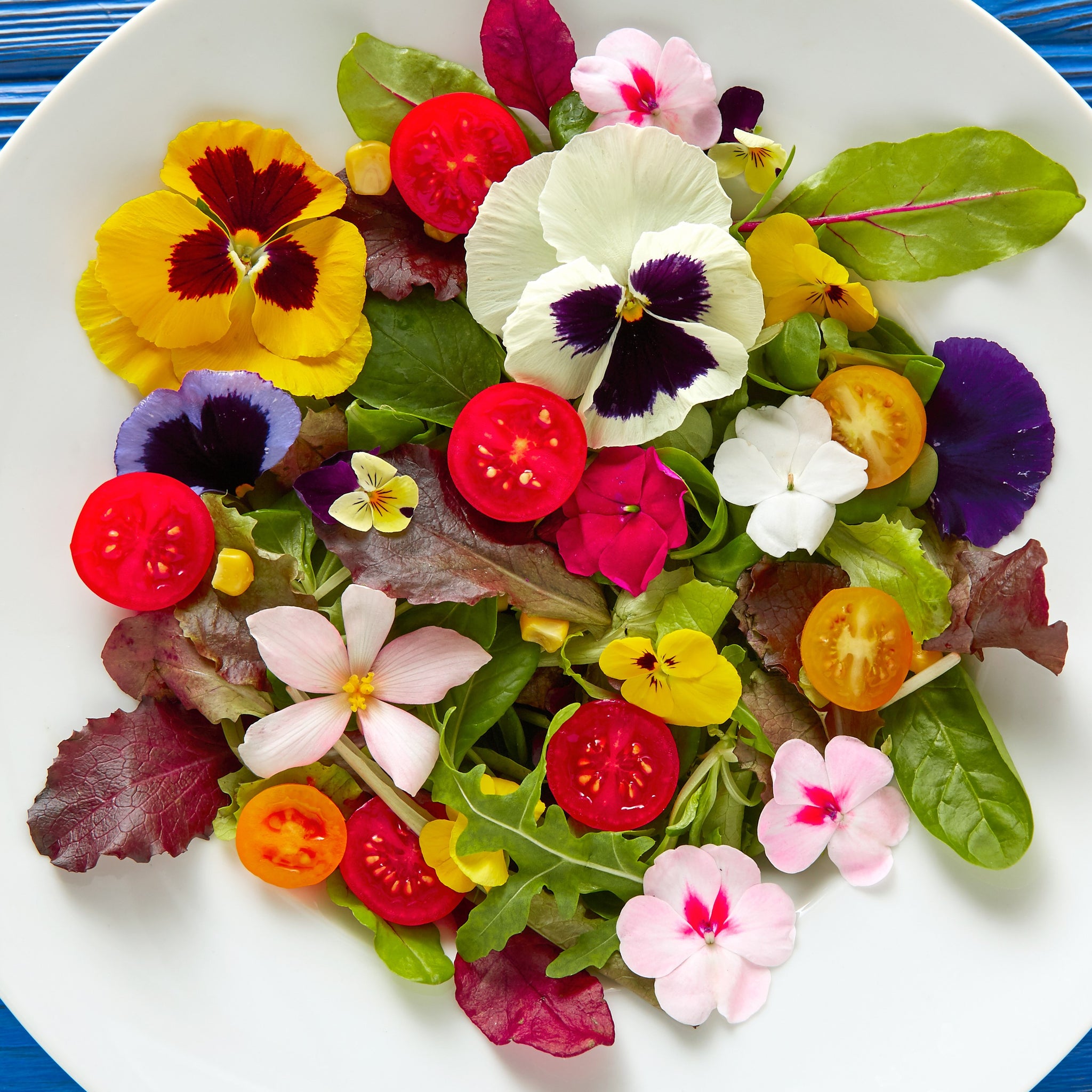 Gourmet Edible Flowers Wildflower Blend Sweet Yards