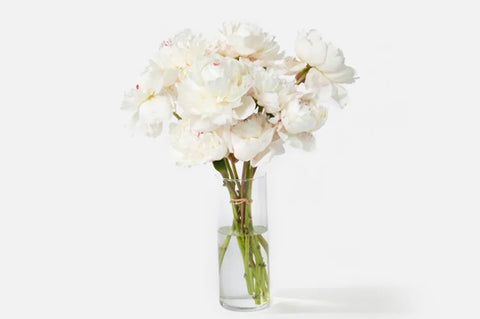 Urban Stems Flowers for Gift Guide