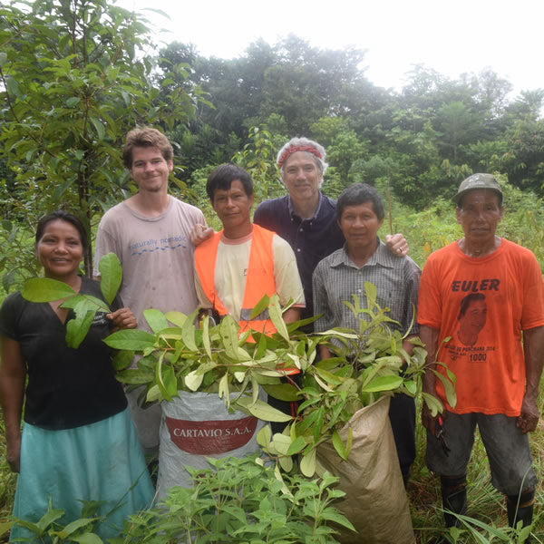 Camino Verde Team