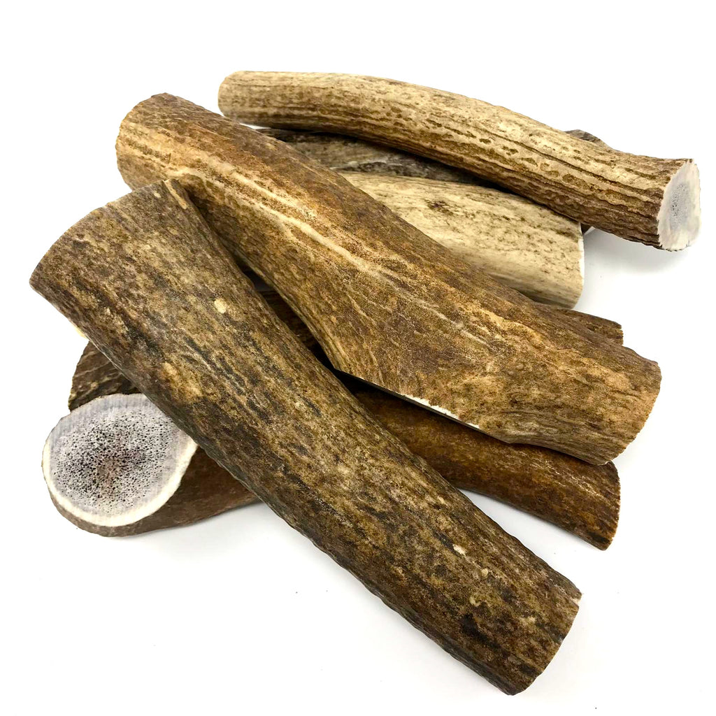 whole elk antler chews