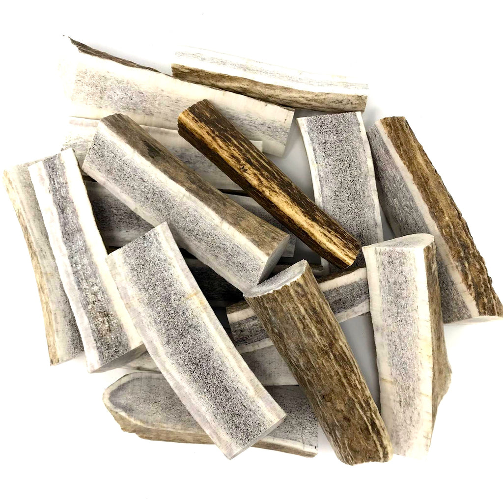 buy elk antler chews