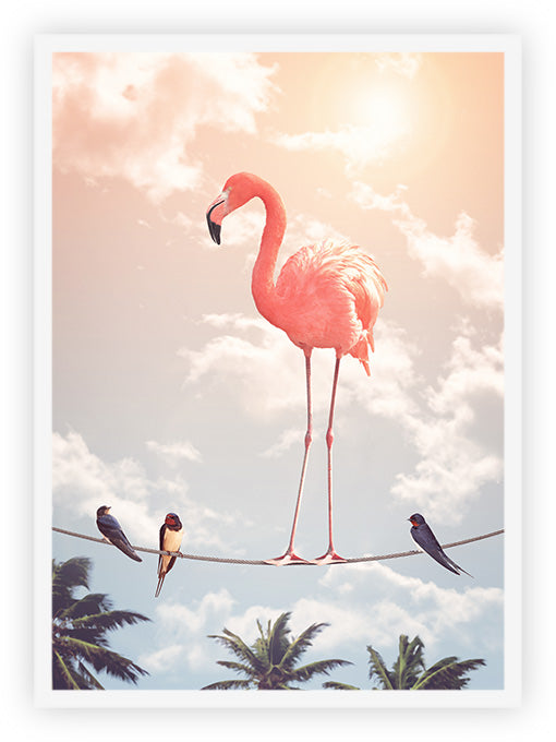 Flamingo and Friends