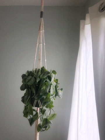 macrame plant hanger