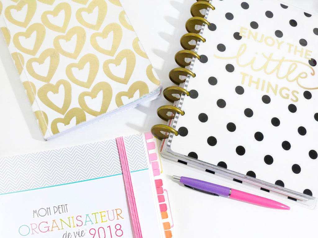 Agenda familial Planner Bullet Journal ou Organisateur de Vie > Que choisir ?