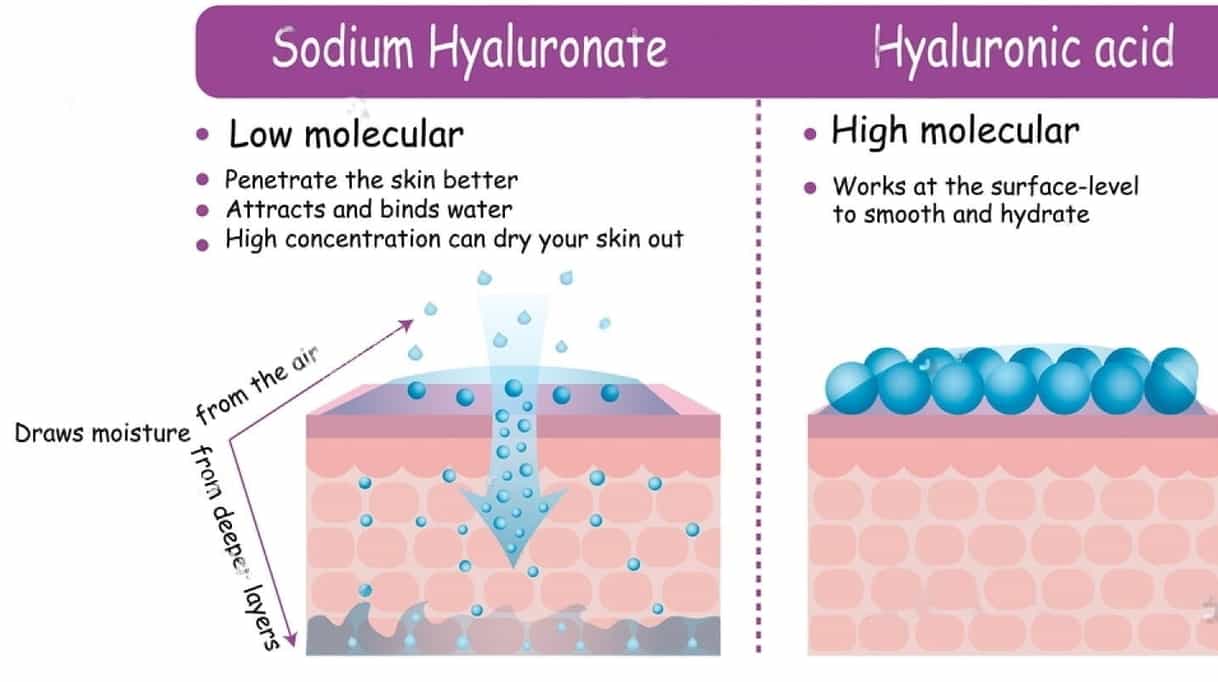 sodium hyaluronate skincare
