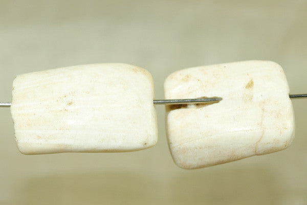 "Hippo Teeth" - Large Shell beads